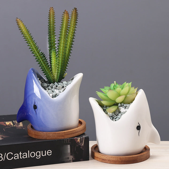 Cartoon Ceramic Succulent Pot