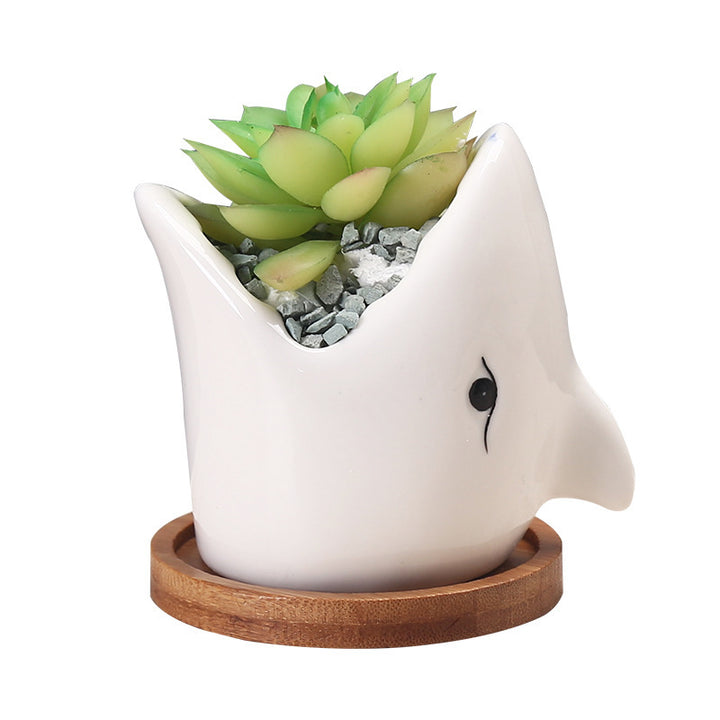 Cartoon Ceramic Succulent Pot